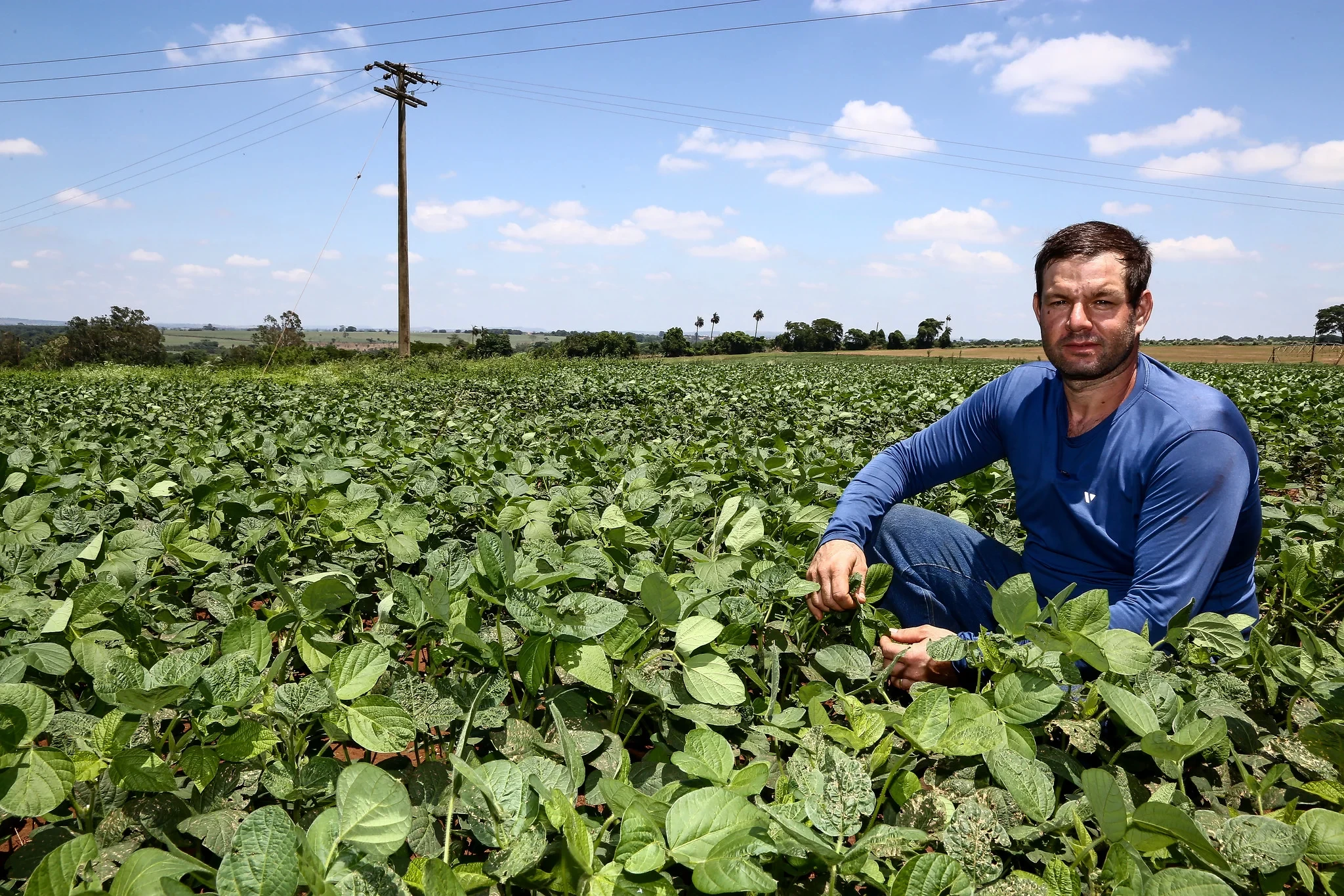 Crédito Rural: conheça os programas de financiamento e saiba como solicitar