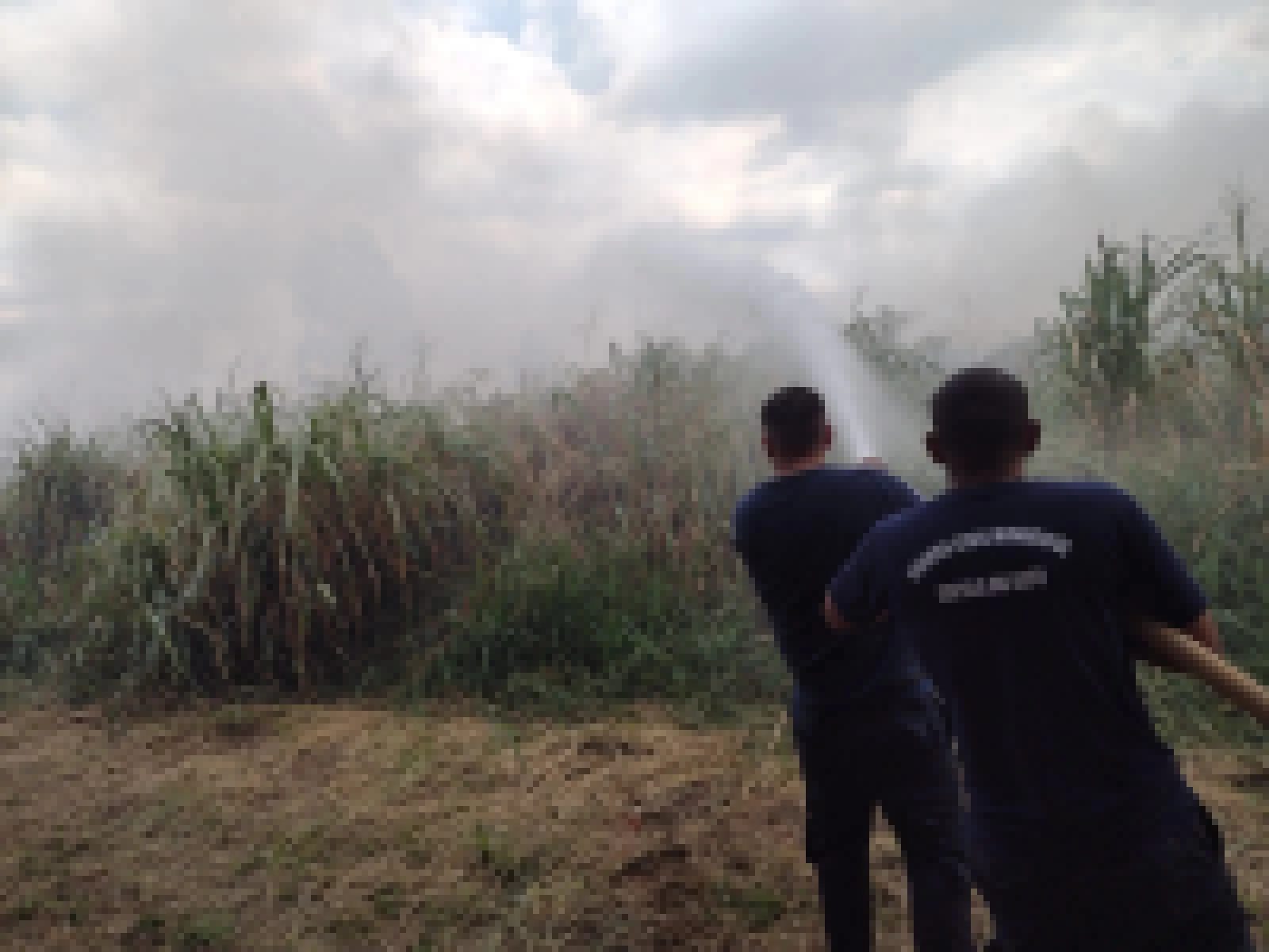 Guarda Civil Municipal e Brigada de incêndio de Capela do Alto trabalham sem parar