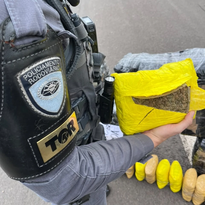 Caminhoneiro é preso com R$ 4,3 milhões em skunk na Rodovia Castello Branco