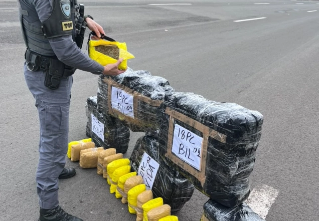 Caminhoneiro é preso com R$ 4,3 milhões em skunk na Rodovia Castello Branco