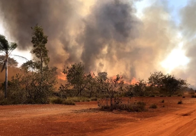Veja como abrir aceiros e barrar o avanço de incêndios na propriedade rural