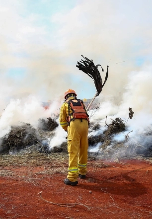 Alta temperatura e baixa umidade fazem Defesa Civil emitir alerta para risco de incêndio no interior de São Paulo