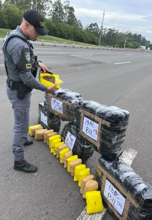 Caminhoneiro é preso com R$ 4,3 milhões em skunk na Rodovia Castello Branco