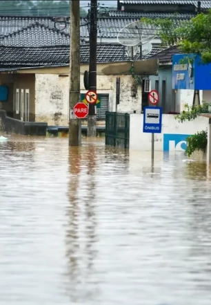 Chuvas aumentam risco de leptospirose em SP; veja os sintomas e como se proteger