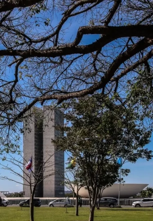 Congresso aumenta punição a crimes sexuais online contra crianças