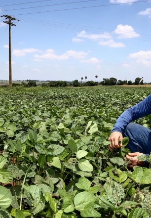 Crédito Rural: conheça os programas de financiamento e saiba como solicitar