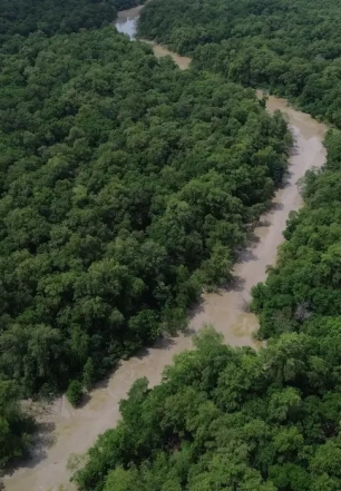 Desmatamento cai 41,8% na Amazônia e 23,8% no Cerrado em um ano