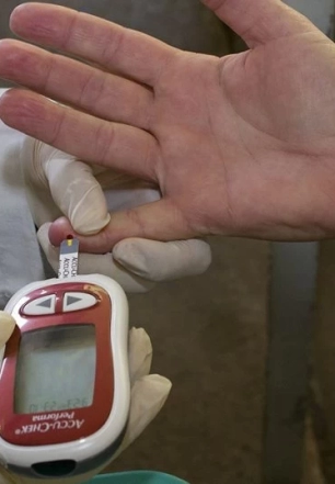 Dia Mundial do Diabetes: SP reforça a importância da prevenção e do diagnóstico precoce