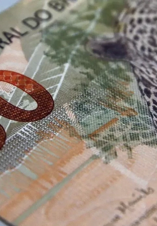 Fundações sem fins lucrativos pagam salários maiores que empresas