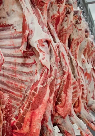 Governo promete reverter veto da UE a carnes e animais brasileiros