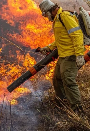 Governo repassa R$ 337 milhões para combate a incêndios e desmatamento