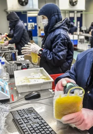 Projeto dispensa licitação para medicamentos produzidos pela Hemobrás