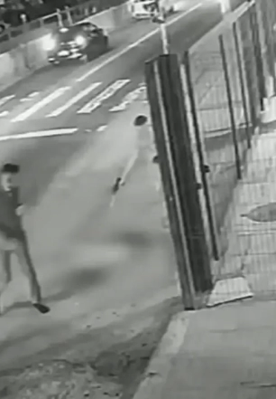 Soldado da PM depõe por ter matado cachorro comunitário em São Paulo