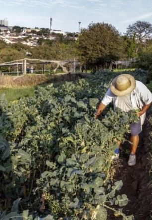 SP anuncia chamamento de 37 novos pesquisadores do agro, primeira contratação em 20 anos