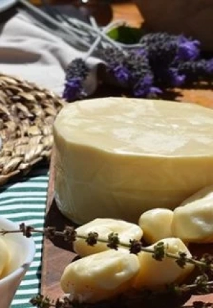 Turismo rural avança com premiação internacional de queijos paulistas