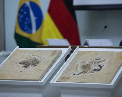 Brasil quer recuperar dinossauros e patrimônios que estão em 14 países