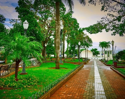 Estado de São Paulo tem as cidades mais arborizadas do país; veja quais