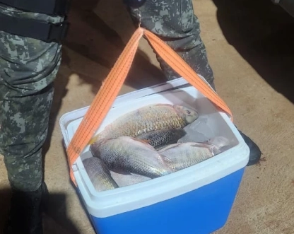 Polícia Militar Ambiental apreende mais de 26 kg de peixes e redes proibidas em Cerquilho