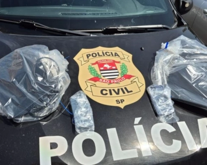 Sites, leilões e agenciamentos falsos: quadrilha de crimes virtuais movimenta mais de R$ 3 milhões